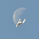 Illustration for article titled This unbelievable image of Virgin Galactics SpaceShipTwo is 100% real